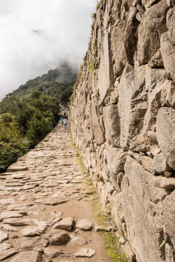 machu-picchu-5