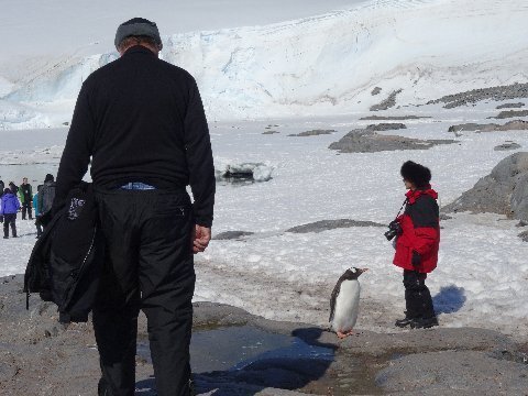 neumayer-penguin-conversation