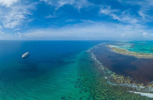aerial view of cruise next to coast