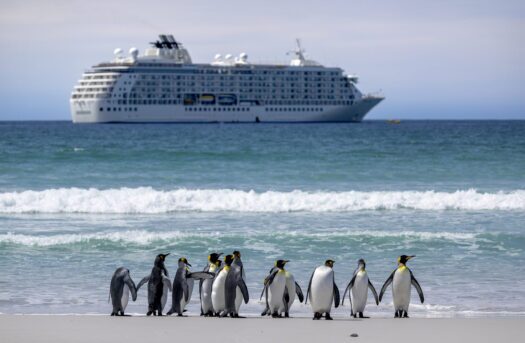 Ship Penguins