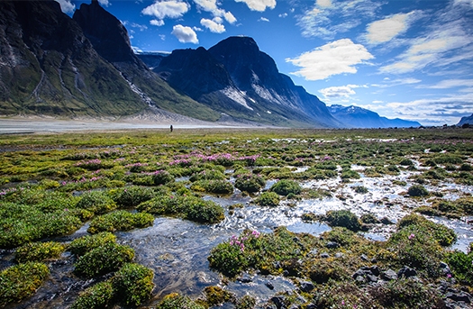 Les marais de l'île de Baffin, au Canada