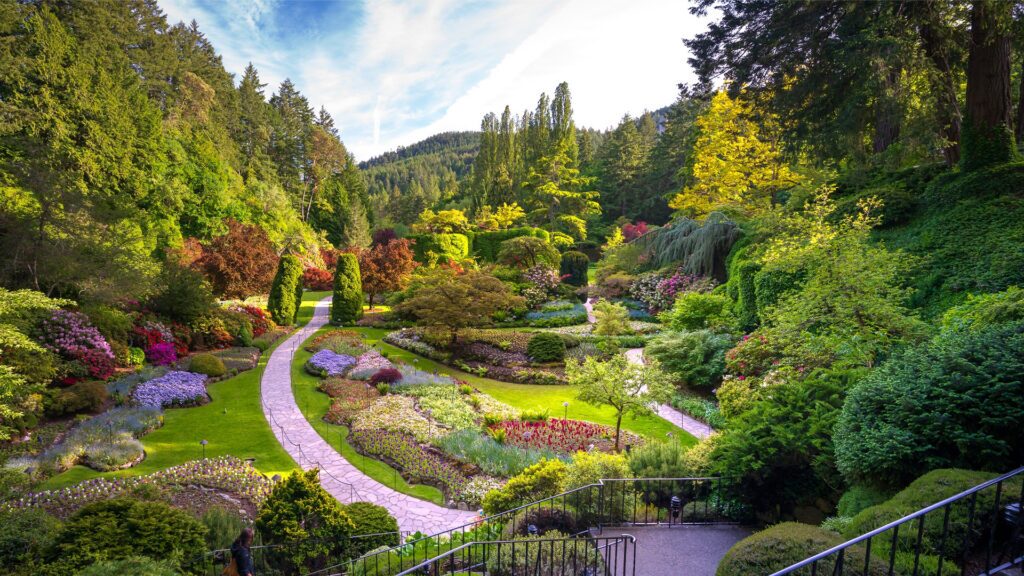 Buchart Gardens in Victoria